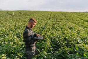 Agronomist inspecting soya bean crops growing in the farm field. Agriculture production concept. Agribusiness concept. agricultural engineer standing in a soy field photo