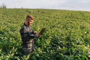 Young agronomist holds tablet touch pad computer in the soy field and examining crops before harvesting. Agribusiness concept. agricultural engineer standing in a soy field with a tablet in summer. photo