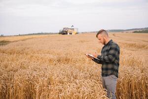 joven agrónomo hombre en pie en trigo campo comprobación calidad mientras combinar segador trabajando foto