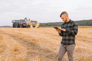 Young agronomist man standing on wheat field checking quality while combine harvester working photo