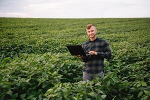 Young agronomist holds tablet touch pad computer in the soy field and examining crops before harvesting. Agribusiness concept. agricultural engineer standing in a soy field with a tablet in summer. photo