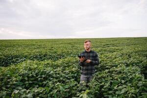 Agronomist inspecting soya bean crops growing in the farm field. Agriculture production concept. Agribusiness concept. agricultural engineer standing in a soy field photo