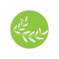 green leaf logo design icons vector