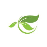 green leaf logo design icons vector