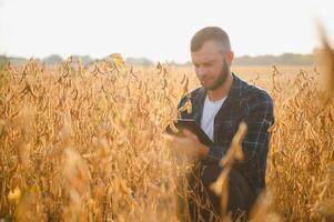 farmer agronomist in soybean field checking crops. Organic food production and cultivation photo