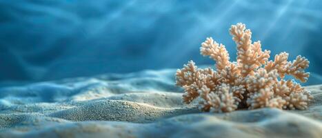 coral formación debajo Oceano ligero foto