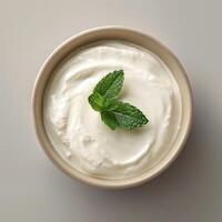 Yogurt with Mint Garnish photo