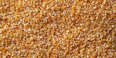 Golden Coarse Sand Texture photo