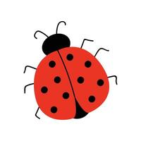 Cute ladybug. illustration with red ladybug. Hand drawn style. White isolated background. vector