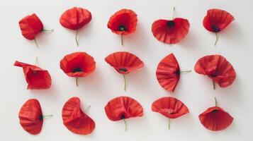 Vibrant Red Poppies Arrangement photo