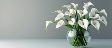 Elegant Calla Lilies in Glass Vase photo