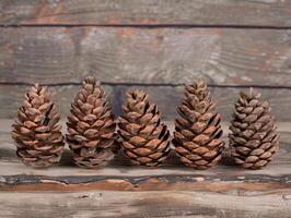 Pine Cones on Wooden Backdrop photo