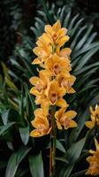 dorado orquídea arreglo foto