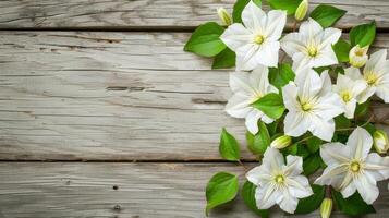 White Clematis Blooms Wooden Texture photo