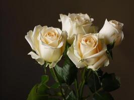 Soft White Roses Portrait photo