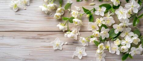 White Jasmine Flowers Wooden Background photo