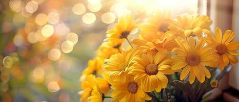 Golden Daisies at Dusk photo