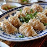 Chinese Dumplings On Ceramic Plate photo