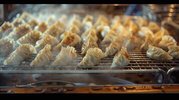 Grilled Dumplings on Wire Rack photo