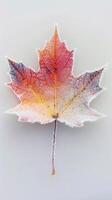 Frosted Autumn Leaf With Crystals photo