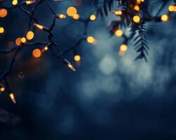 Twinkling Festive Lights Branches photo