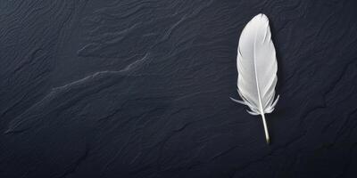 Solitary White Feather Texture photo