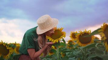 sorridente mulher agrônomo cheirando girassol florescendo dentro campo video