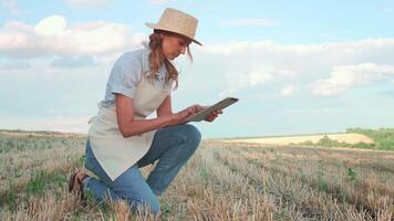mulher agricultor dentro Palha chapéu usando digital tábua dentro agrícola campo video