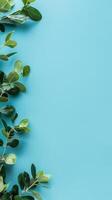 Fresh Greenery on Blue Background photo