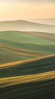 Golden Hour Over Rolling Hills photo