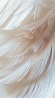 Soft White Feather Detail photo