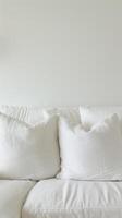 Neutral Toned Pillow Arrangement photo