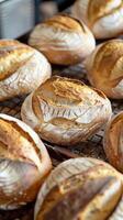 Freshly Baked Artisan Bread photo