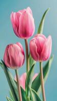 Pink Tulips Against Blue Sky photo