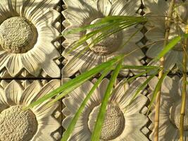 yellow bamboo growth beside wall photo