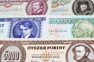 Old Hungarian Forint a business background photo