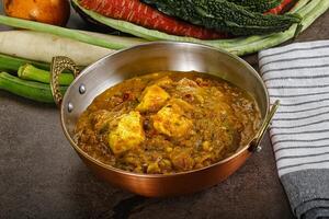 Indian cuisine - Butter Paneer with gravy photo