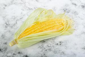 Raw sweet ripe yellow Corn photo