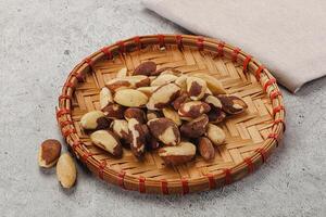 Brazil nut kernel in the bowl photo