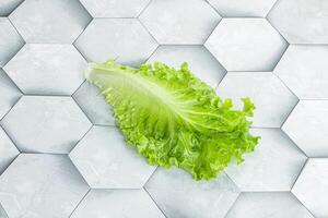 Ripe green salad lettuce leaf photo