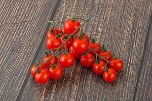 Ripe sweet Cherry tomato branch photo