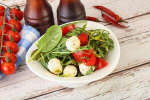 Mix salad with mozzarella and tomato photo