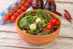 Mix salad with mozzarella and tomato photo