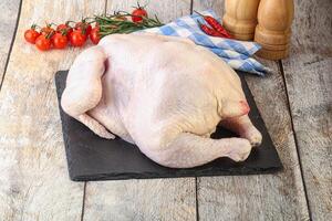 Whole raw chicken for cooking photo