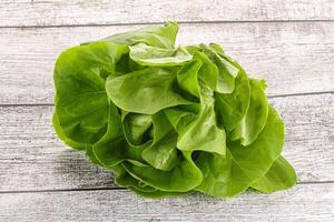 Salad leaves heap for snack photo