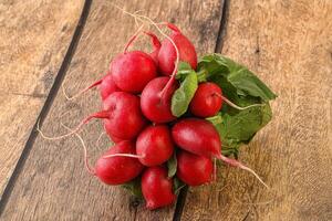 Heap ripe fresh red radish photo