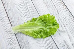 Ripe green salad lettuce leaf photo