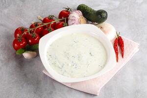 Traditional delicious appetizer greek tzatziki Turkish name cacik photo