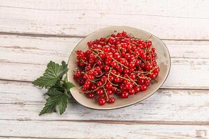 Sweet ripe red currant berries photo