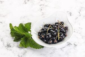 Juicy black currant berries in the bowl photo